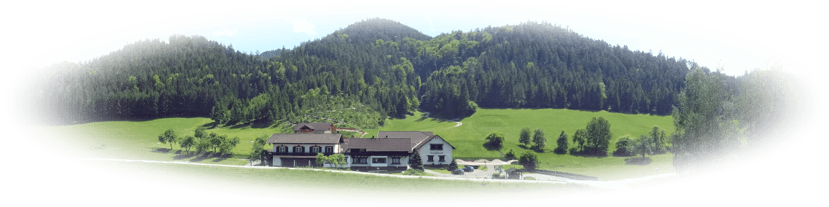 Blick auf den Thürlahshof