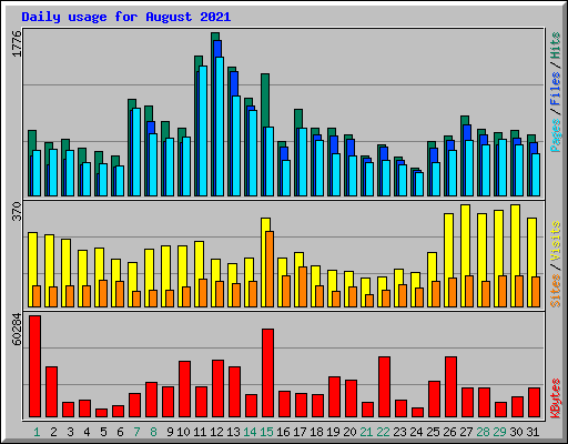 Daily usage for August 2021