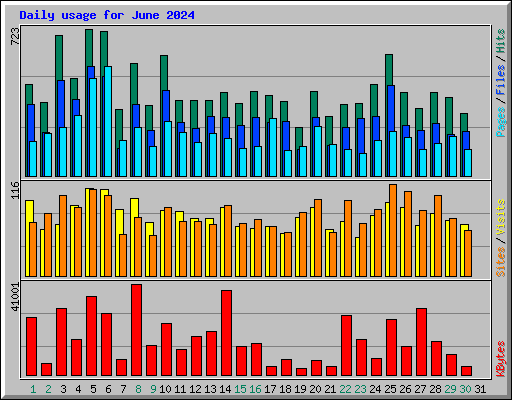 Daily usage for June 2024