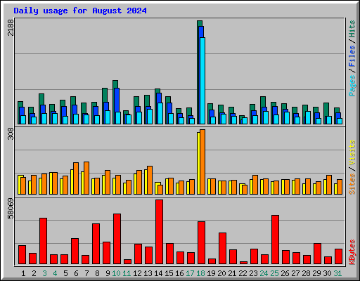 Daily usage for August 2024
