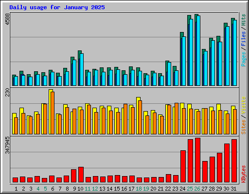 Daily usage for January 2025