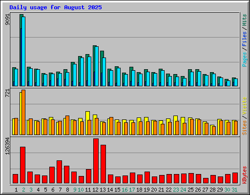 Daily usage for August 2025