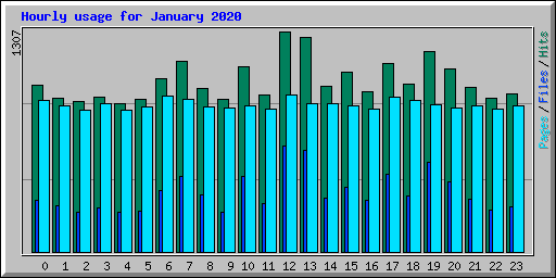 Hourly usage for January 2020