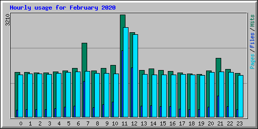 Hourly usage for February 2020