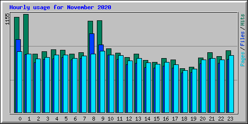 Hourly usage for November 2020