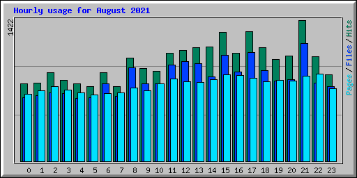 Hourly usage for August 2021