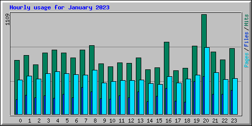 Hourly usage for January 2023