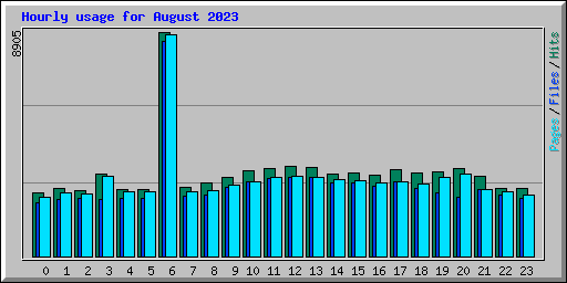 Hourly usage for August 2023