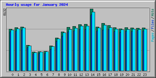 Hourly usage for January 2024