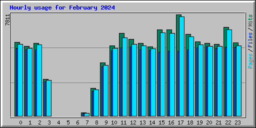 Hourly usage for February 2024