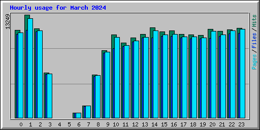 Hourly usage for March 2024