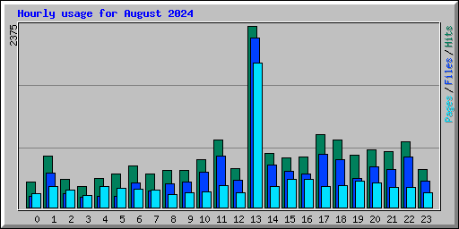 Hourly usage for August 2024