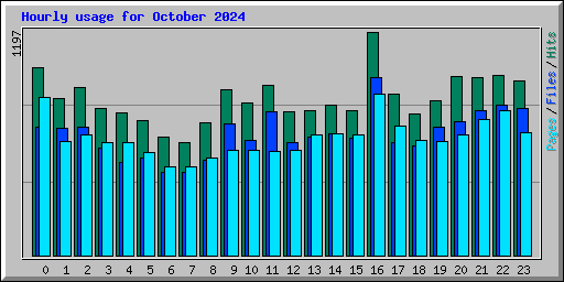 Hourly usage for October 2024