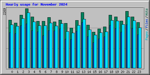 Hourly usage for November 2024