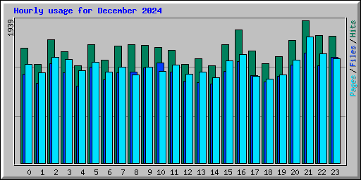 Hourly usage for December 2024