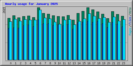Hourly usage for January 2025