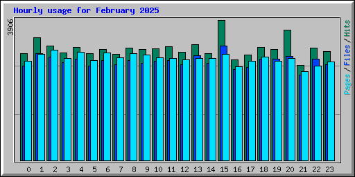 Hourly usage for February 2025