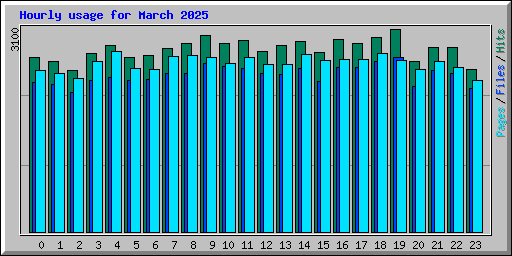 Hourly usage for March 2025