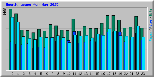 Hourly usage for May 2025