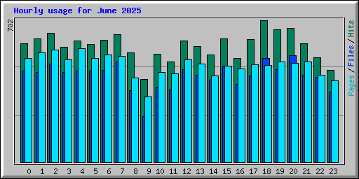 Hourly usage for June 2025