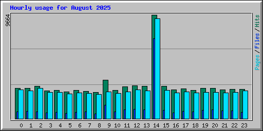 Hourly usage for August 2025
