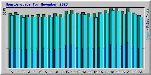 Hourly usage for November 2025