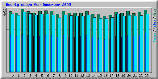 Hourly usage for December 2025