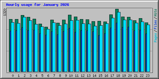 Hourly usage for January 2026
