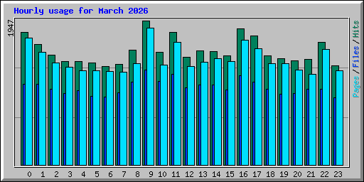 Hourly usage for March 2026