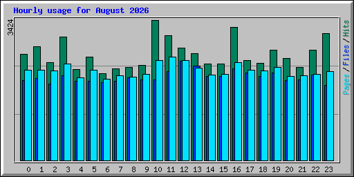Hourly usage for August 2026